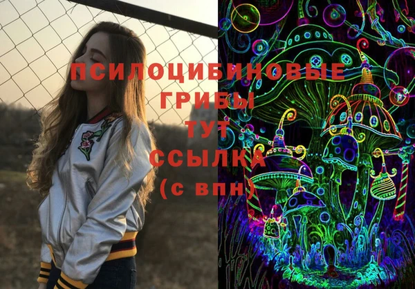 прущие грибы Аркадак