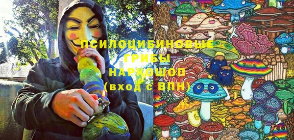 PSILOCYBIN Балахна