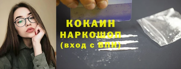 прущие грибы Аркадак
