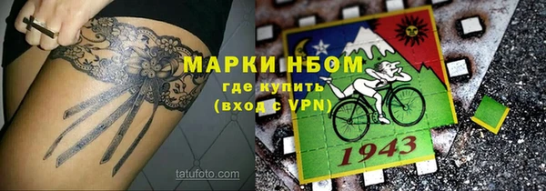 прущие грибы Аркадак