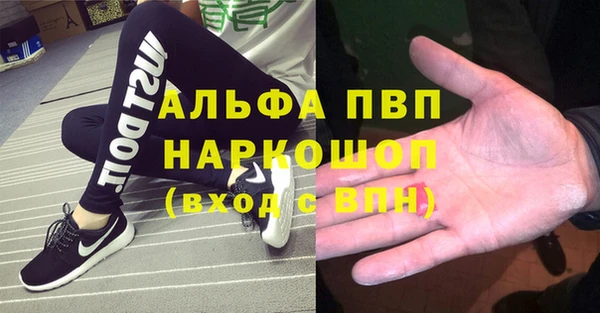 прущие грибы Аркадак