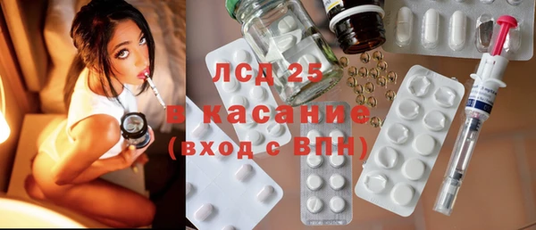 прущие грибы Аркадак