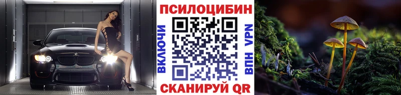 где купить наркотик  Сковородино  Галлюциногенные грибы Magic Shrooms 